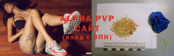 индика Нефтегорск
