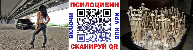 купить  цена  Сосенский  Псилоцибиновые грибы ЛСД 